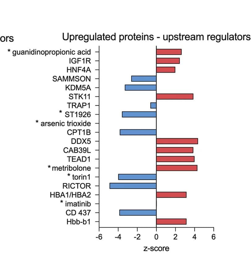 Open access visualization of Bar Plot, Upstream Regulators, IPA, Upregulated Proteins, Z-score