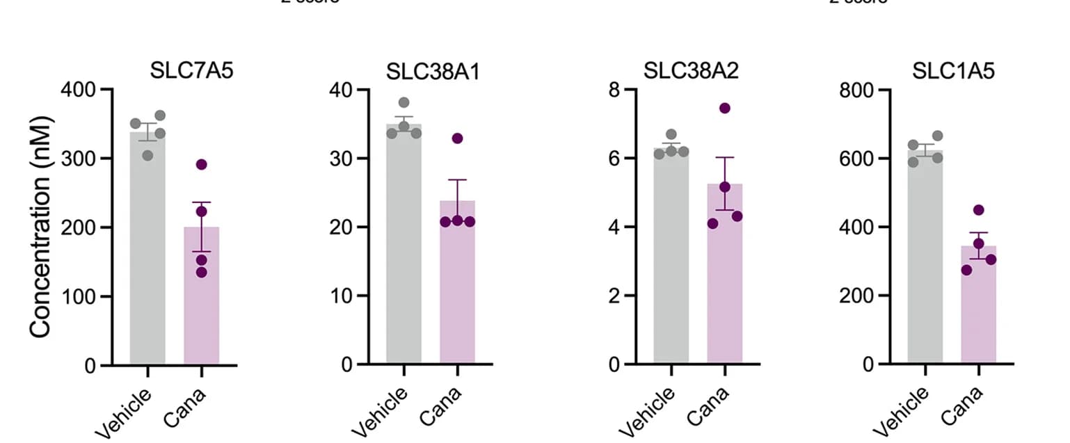 Open access visualization of Bar Plot, Error Bars, Scatter Plot, c-Myc, Amino Acid Transporters