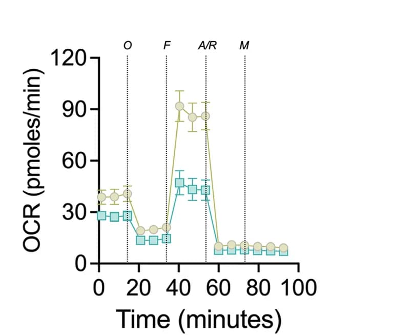 Open access visualization of Line Plot, Error Bars, OCR, T Cells, Oligomycin