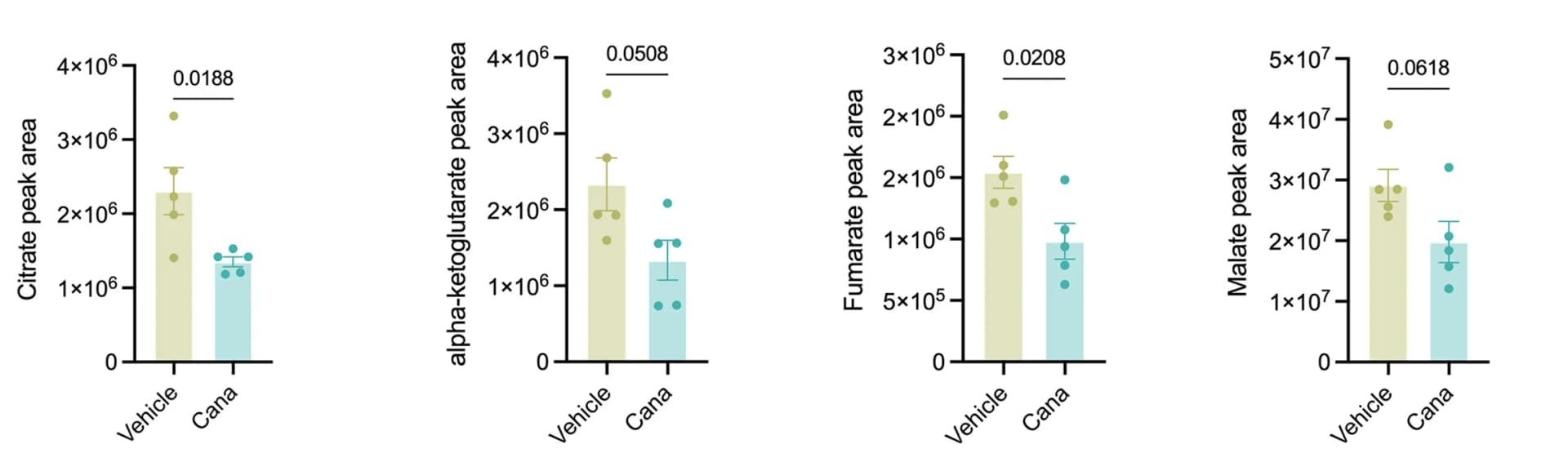 Open access visualization of Bar Plot, Error Bars, Scatter Plot, TCA Cycle Metabolites, Citrate