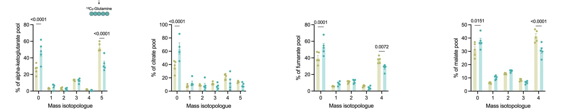 Open access visualization of Bar Plot, Error Bars, Scatter Plot, Mass Isotopolog Distribution, TCA Cycle Metabolites