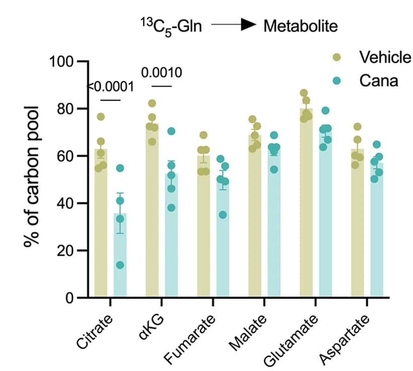 Open access visualization of Bar Plot, Error Bars, Clustered, Scatter Plot, CD4+ T Cells