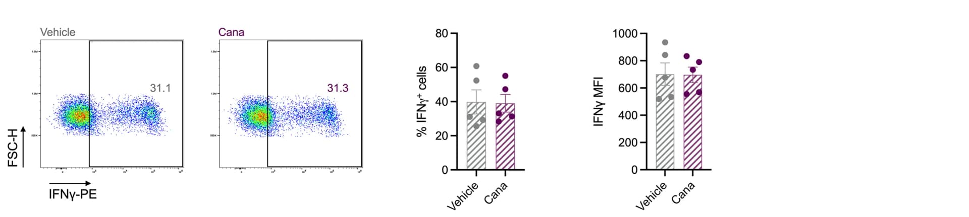Open access visualization of Bar Plot, Scatter Plot, Error Bars, IFNγ, CD4+ T Cells