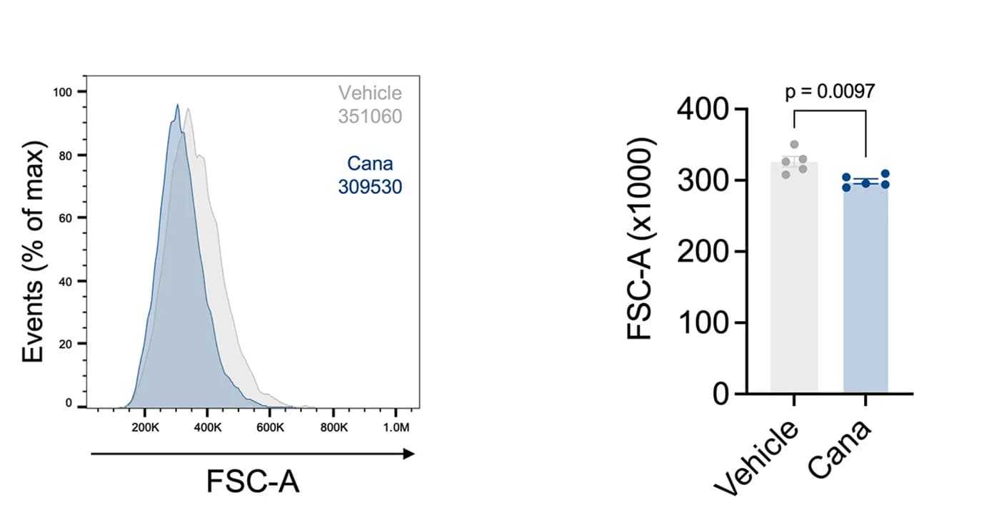 Open access visualization of Bar Plot, Histogram, Teff, Blastogenesis