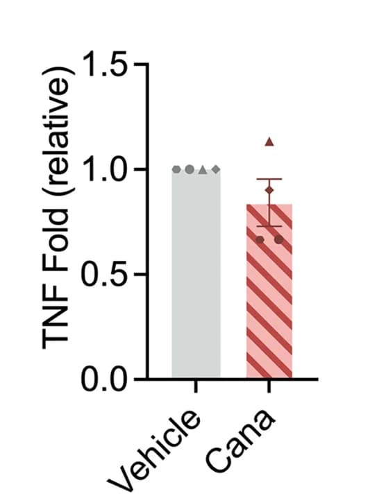 Open access visualization of Bar Plot, Error Bars, SFMNCs, Cell Activation, IFNg
