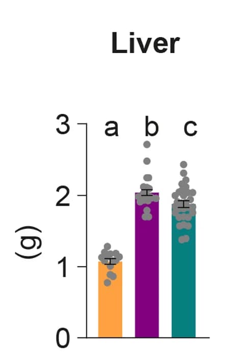 Open access visualization of Bar Plot, Error Bars, Scatter Plot, Liver Mass