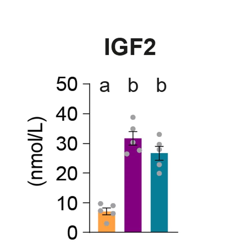 Open access visualization of Bar Plot, Error Bars, IGF2, Estradiol, Progesterone