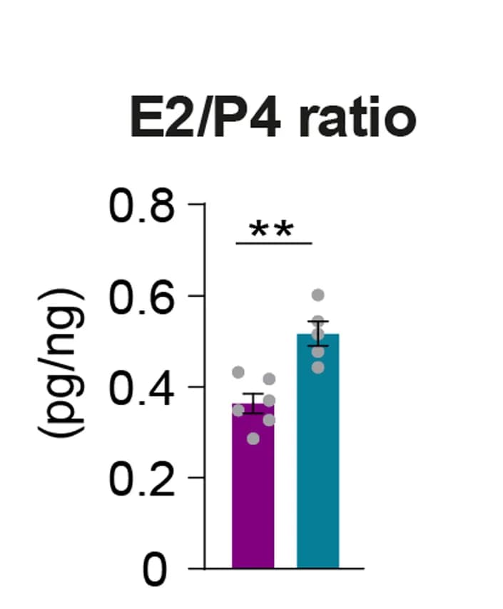 Open access visualization of Bar Plot, Error Bars, IGF2, Estradiol, Progesterone