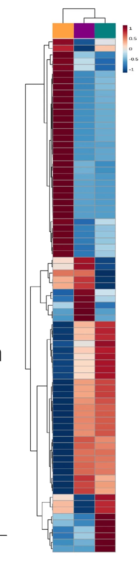 Open access visualization of Heatmap, Clustered, Hierarchical Clustering, Liquid Chromatography Mass Spectrometry, LC-MS/MS