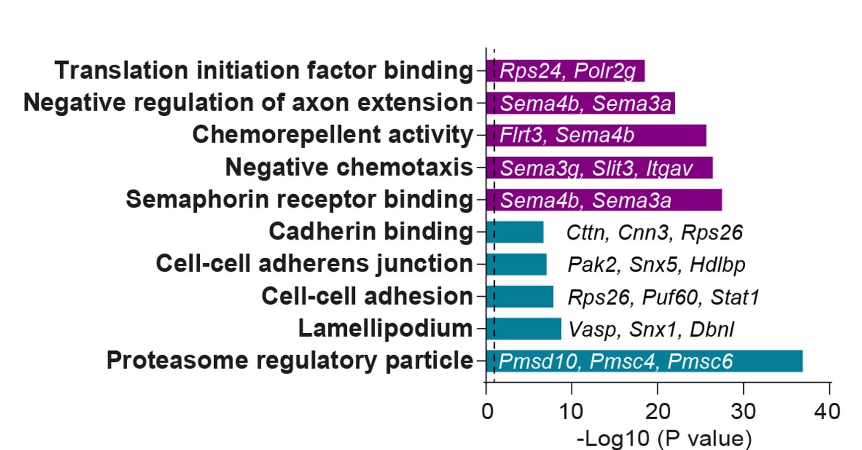 Open access visualization of Bar Plot, Biological Processes, DAVID Annotations