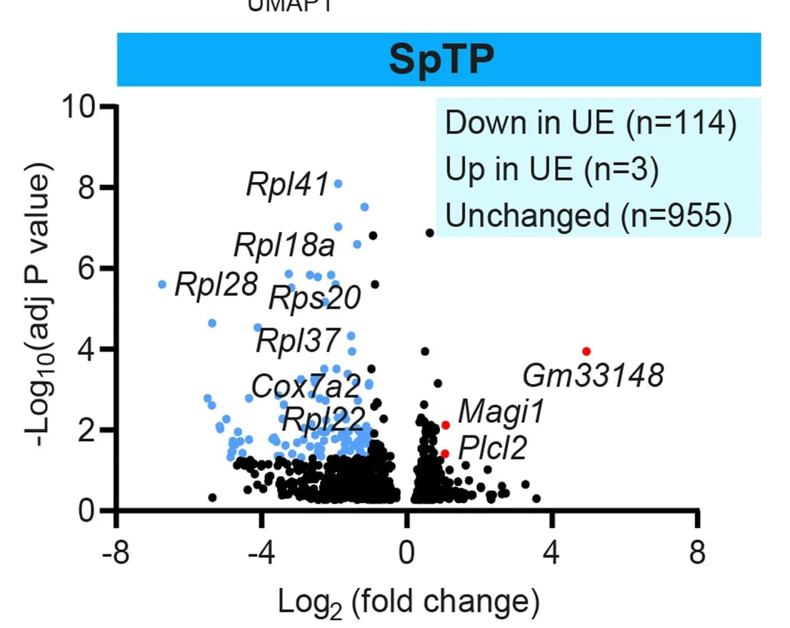 Open access visualization of Volcano Plot, Scatter Plot, Differentially Expressed Genes, UE, Control Cell