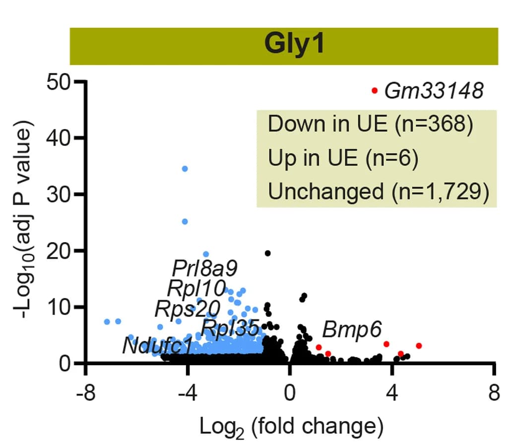 Open access visualization of Volcano Plot, Scatter Plot, Differentially Expressed Genes, UE, Control Cell