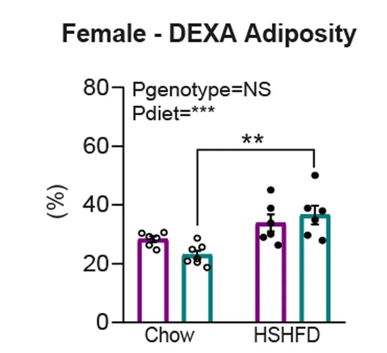 Open access visualization of Bar Plot, Error Bars, Adiposity, DEXA Scan, Male Offspring