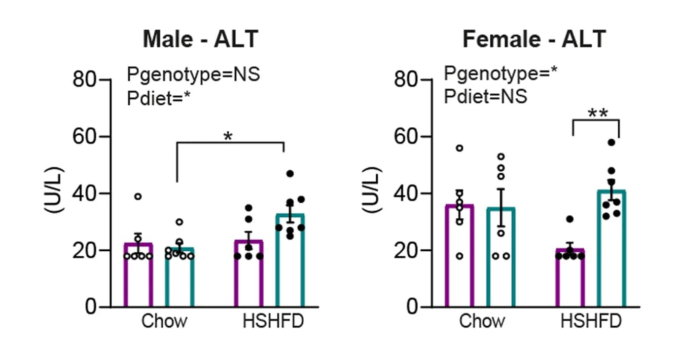 Open access visualization of Bar Plot, Error Bars, Scatter Plot, Alanine Aminotransferase, ALT