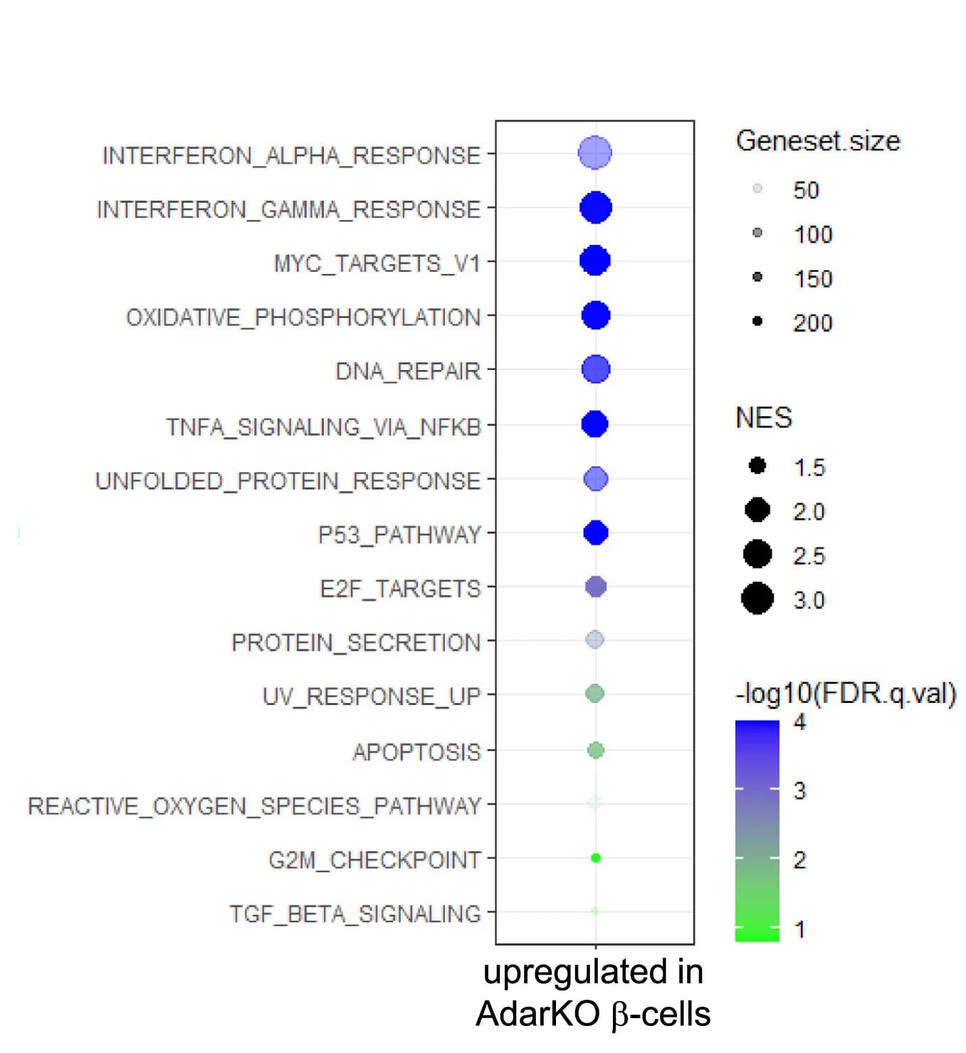 Open access visualization of Bubble Plot, Scatter Plot, Gene Set Enrichment Analysis, GSEA, MSigDB