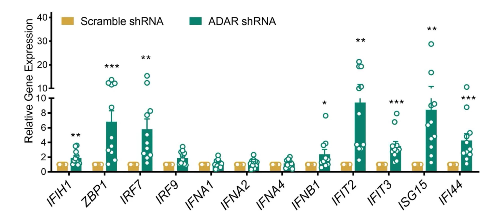 Open access visualization of Bar Plot, Error Bars, Scatter Plot, ADAR1 Knockdown, Human Islets