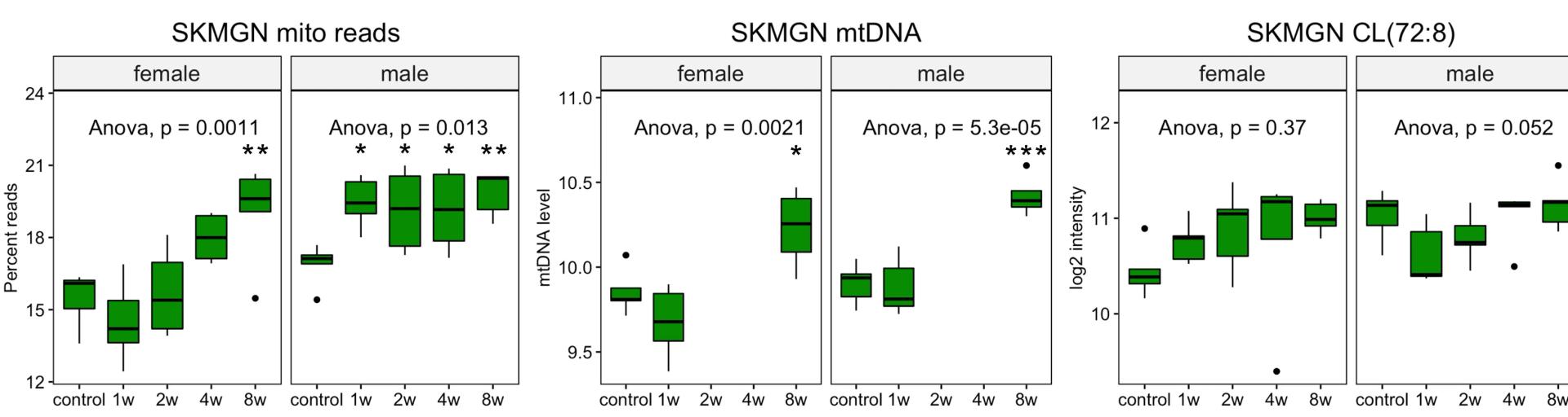 Open access visualization of Box Plot, Biomarker Data, Skeletal Muscle, Liver, Abundance
