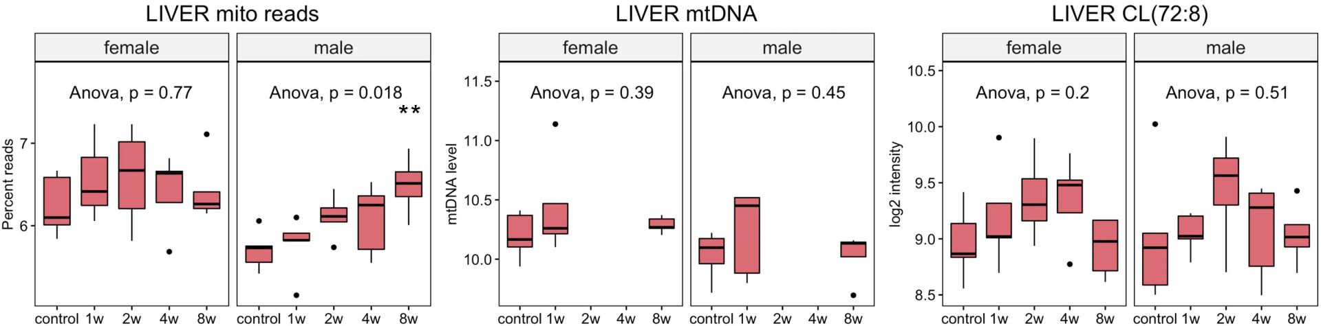 Open access visualization of Box Plot, Biomarker Data, Skeletal Muscle, Liver, Abundance