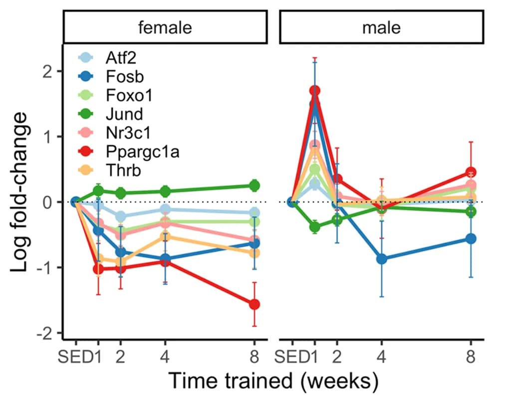 Open access visualization of Line Plot, Error Bars, PPARGC1A, PGC1 Interactors, Gene Expression
