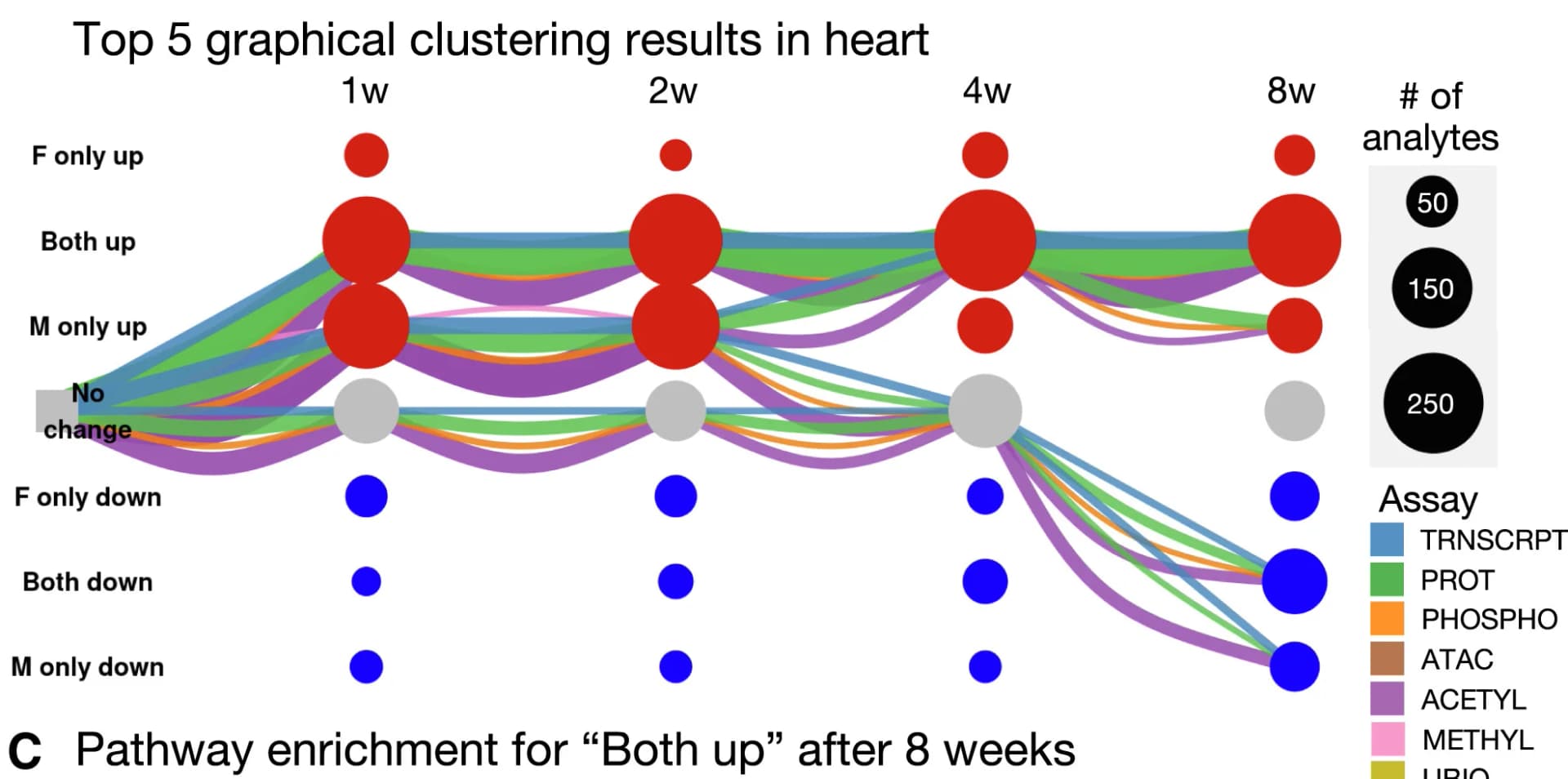 Open access visualization of Sankey, Pathway, Mitochondria, Cardiac Muscle, Training