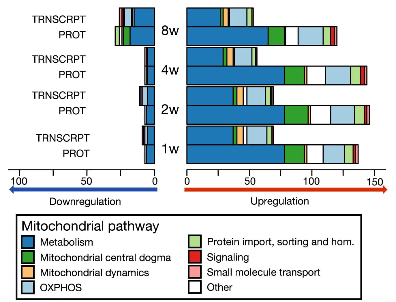 Open access visualization of Stacked Bar Plot, Transcripts, Proteins, Mitochondria, Time Point