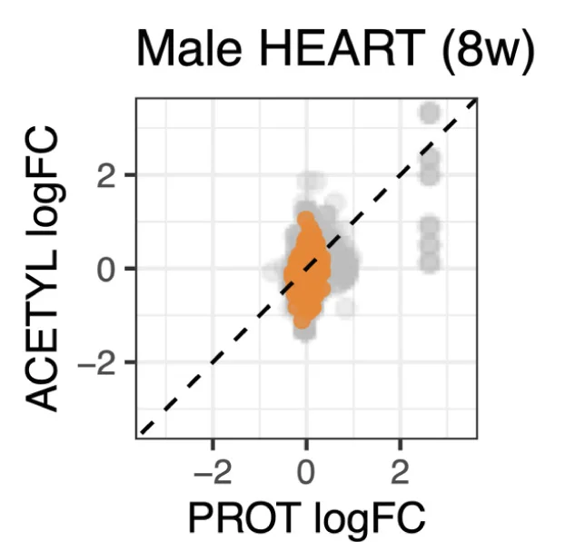 Open access visualization of Scatter Plot, Regression Plot, Protein Levels, Acetylation, Males