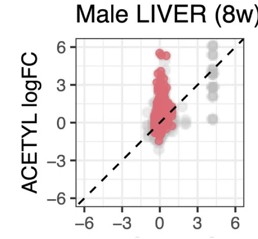 Open access visualization of Scatter Plot, Protein Abundance, Acetylation, Male, Liver