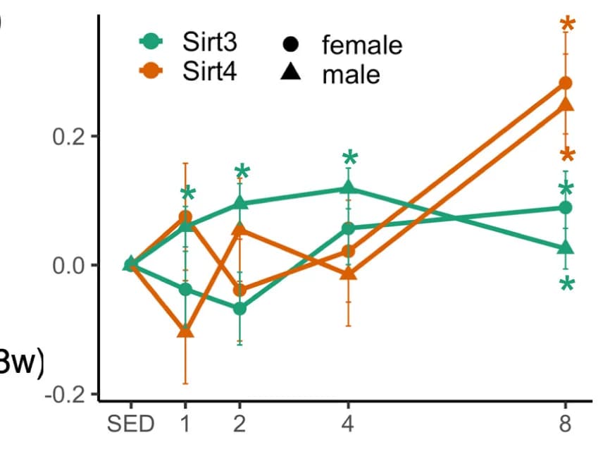 Open access visualization of Line Plot, Error Bars, Protein Expression, SIRT3, SIRT4
