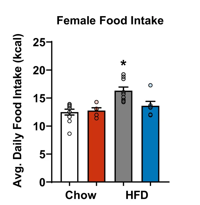 Open access visualization of Bar Plot, Error Bars, Scatter Plot, Caloric Food Intake, Chow Diet