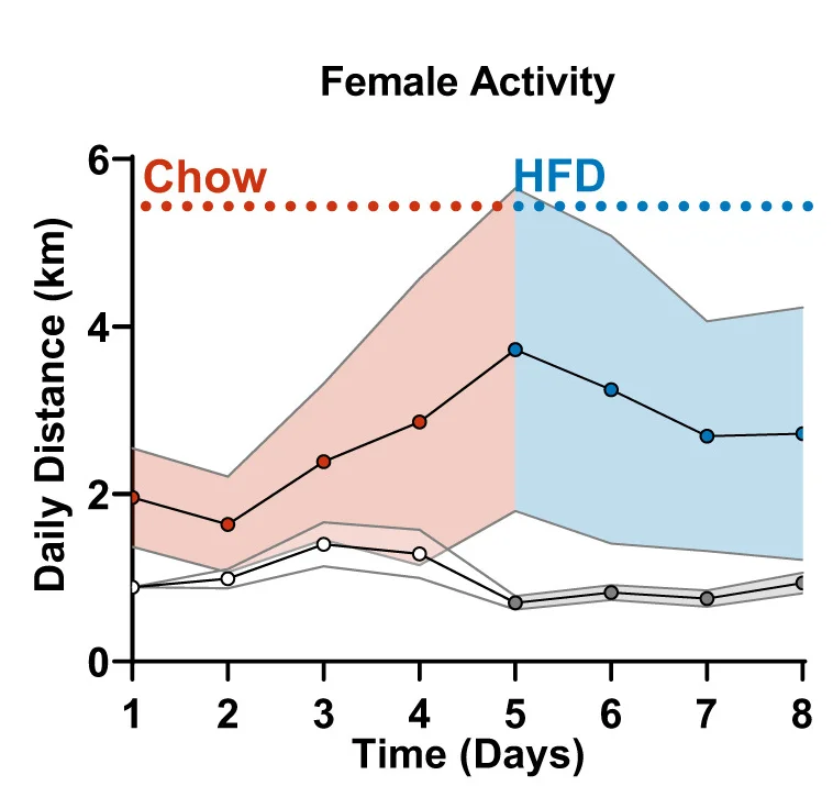 Open access visualization of Line Plot, Error Bars, Line Step, Daily Activity, Chow Diet