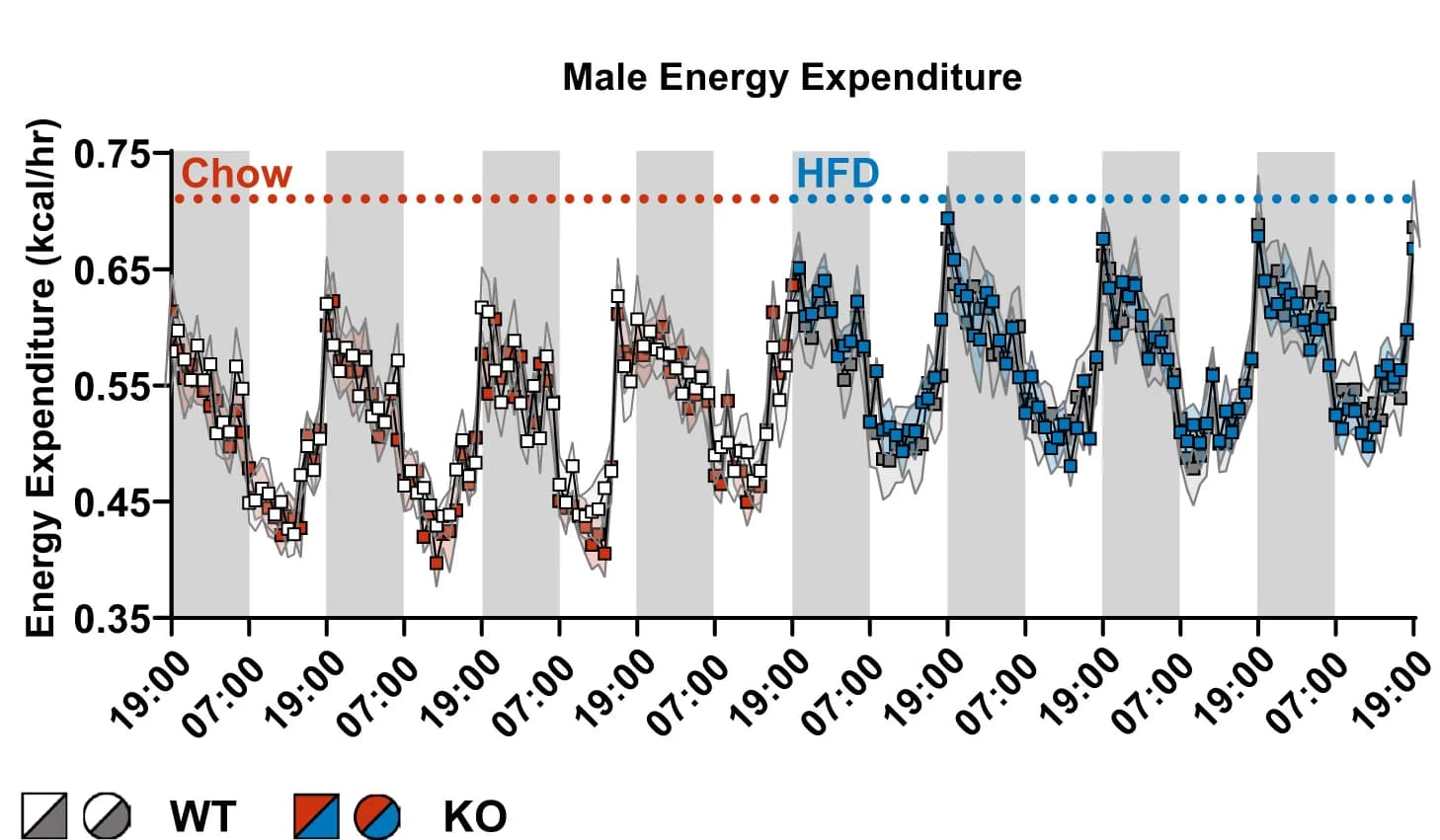 Open access visualization of Line Plot, Error Bars, Energy Expenditure, Male Mice