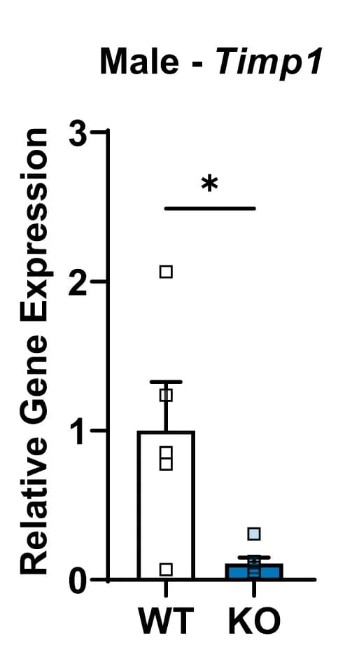 Open access visualization of Bar Plot, Error Bars, Liver qPCR, Fibrosis Markers, TIMP Metallopeptidase Inhibitor 1