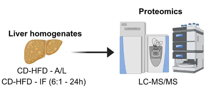 Open access visualization of Workflow, Illustration, Cumulative Food Intake, Mice, Diet
