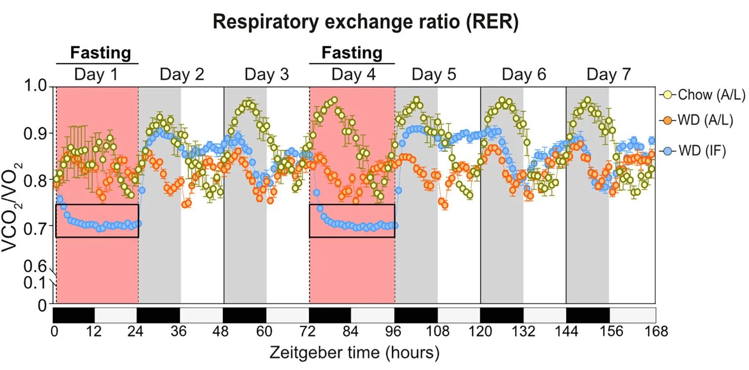Open access visualization of Line Plot, Error Bars, Respiratory Exchange Ratio, Mice, Diet