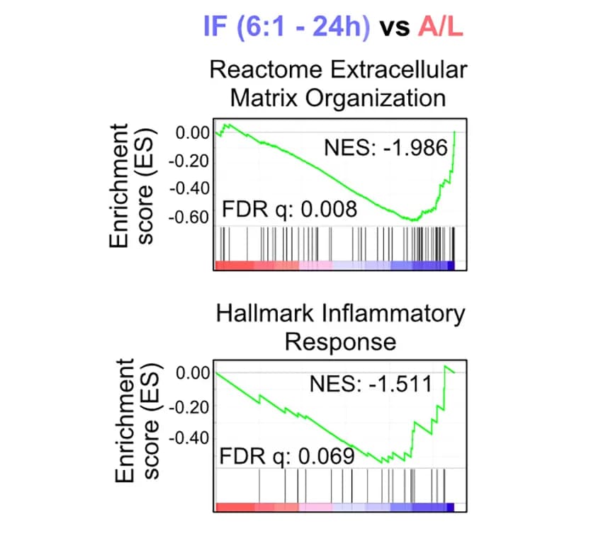Open access visualization of Line Plot, Gene Set Enrichment Analysis, REACTOME, Extracellular Matrix Organization, HALLMARK