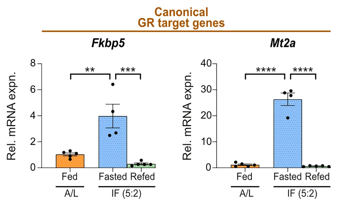 Open access visualization of Bar Plot, Error Bars, mRNA Expression, Fkbp5, Liver Homogenates