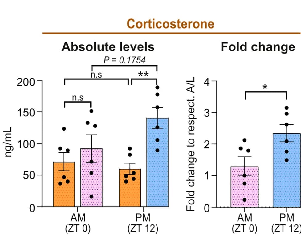 Open access visualization of Bar Plot, Error Bars, Corticosterone, Serum Levels, Ad Libitum Control