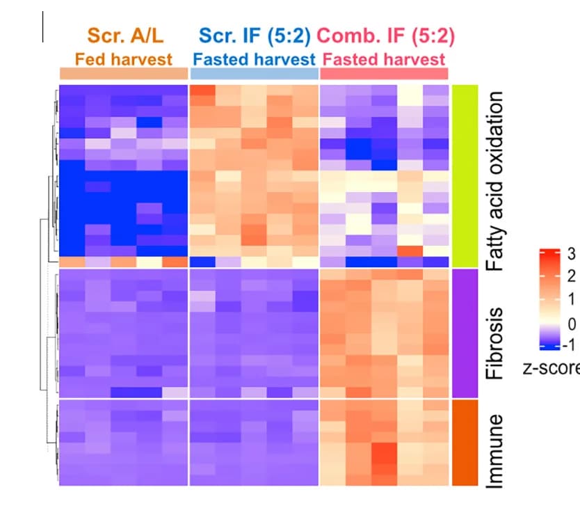 Open access visualization of Heatmap, Clustered, Differentially Expressed Genes, Fatty Acid Oxidation, Fibrosis