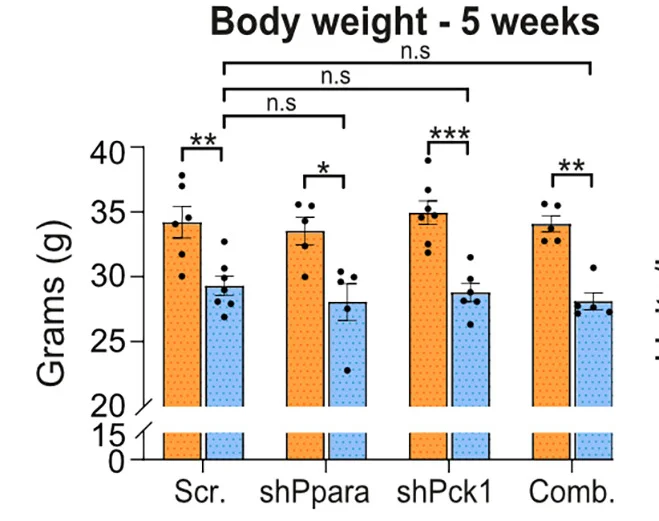 Open access visualization of Bar Plot, Error Bars, Clustered, Body Weight, Serum Alanine Aminotransferase