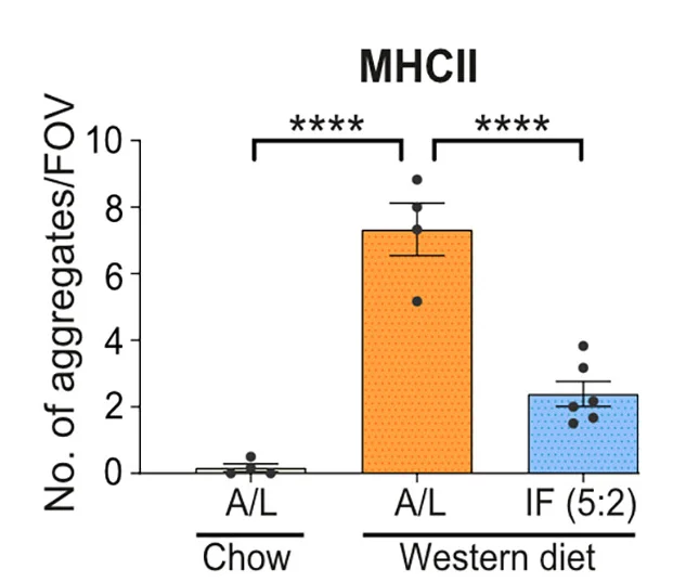 Open access visualization of Bar Plot, Error Bars, Quantification, MHCII Staining, Chow Diet