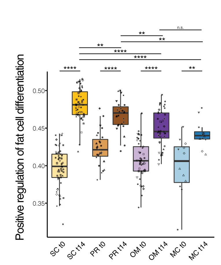 Open access visualization of Box Plot, Scatter Plot, Positive Regulation, Fat Cell Differentiation, GO Term
