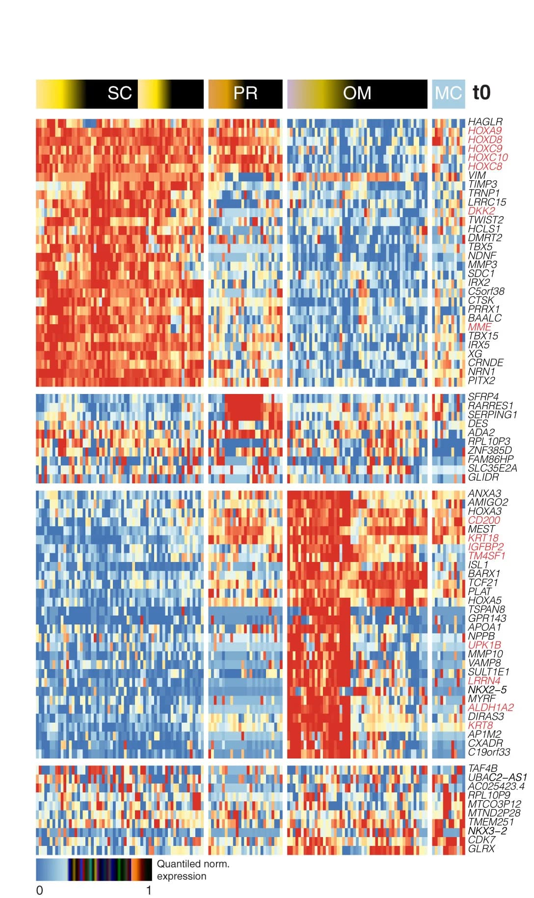 Open access visualization of Heatmap, Differentially Expressed Genes, Adipose Depot, Time Point