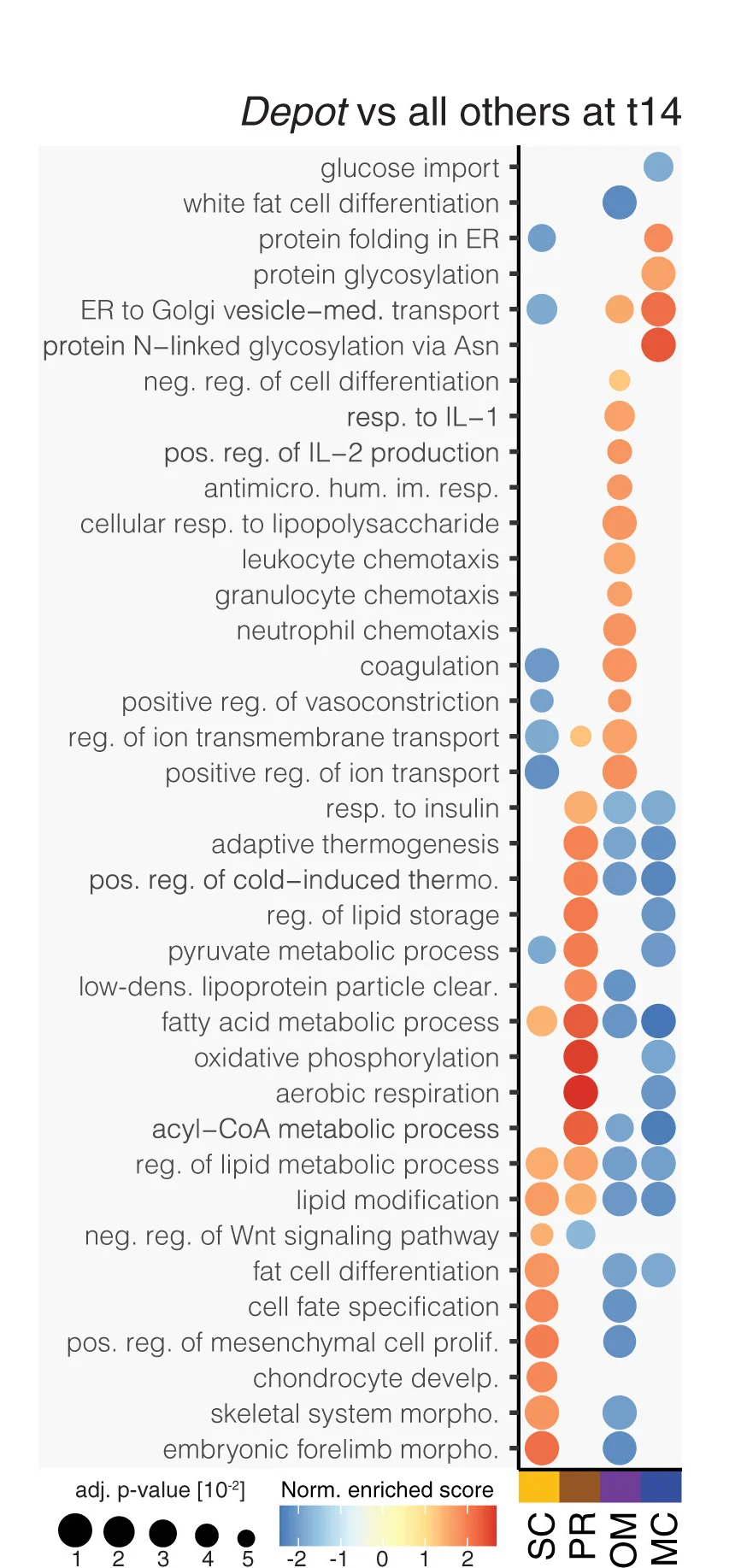 Open access visualization of Bubble Plot, Enriched Terms, GSEA, Gene Expression Analysis, Adipose Depot