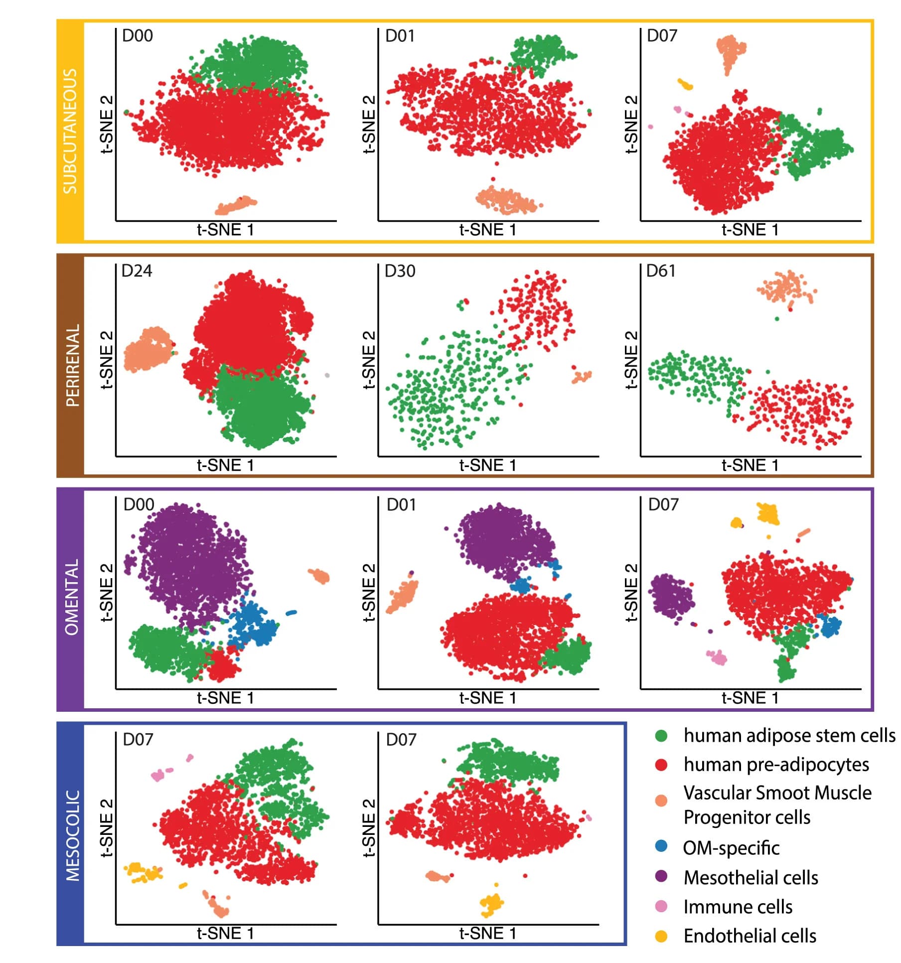 Open access visualization of Scatter Plot, UMAP, PCA, t-SNE, scRNA-seq
