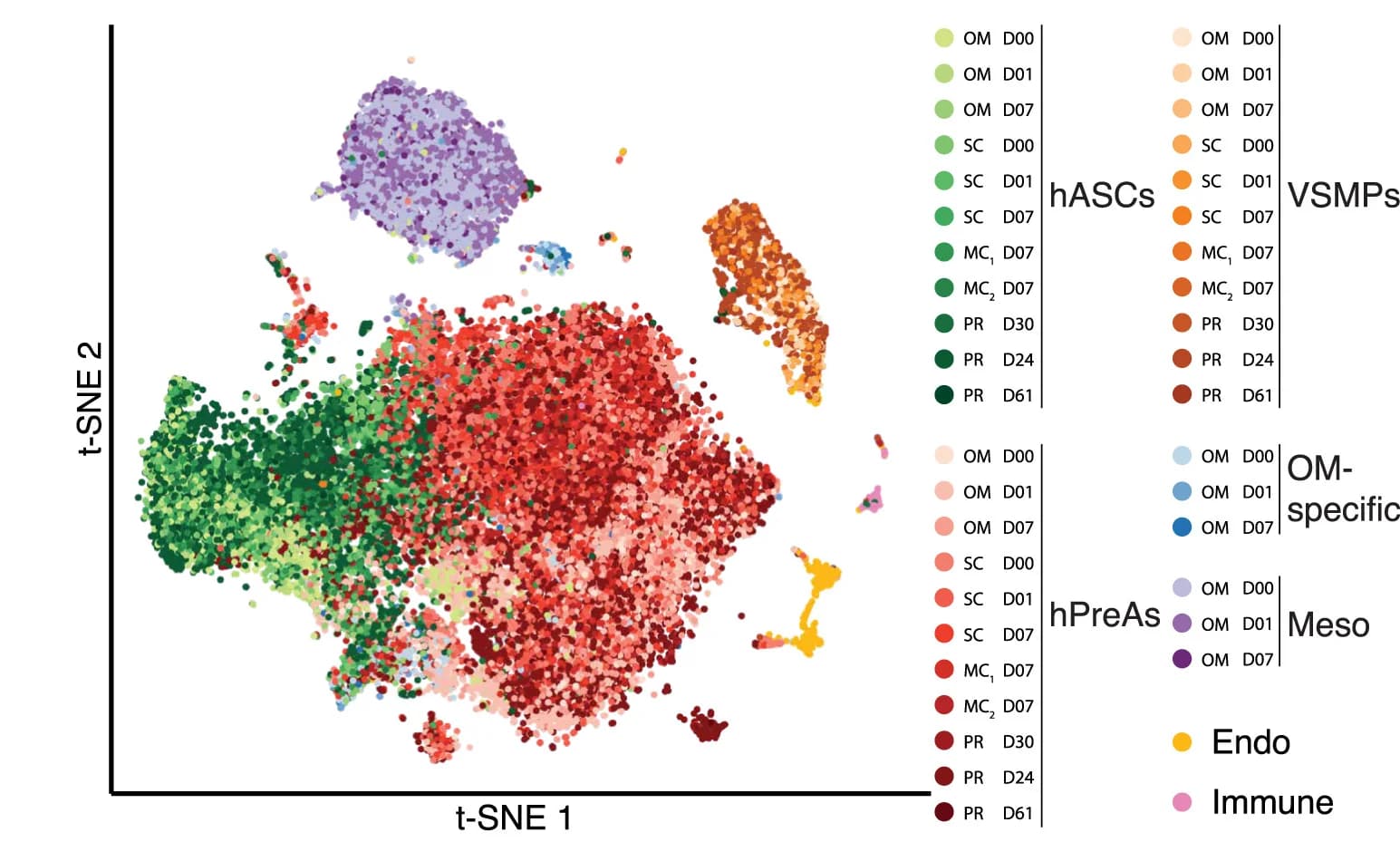 Open access visualization of Scatter Plot, UMAP, PCA, t-SNE, scRNA-seq