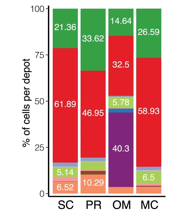Open access visualization of Stacked Bar Plot, Cell Percentage, Adipose Depots, Cell Clusters, Immune Cells