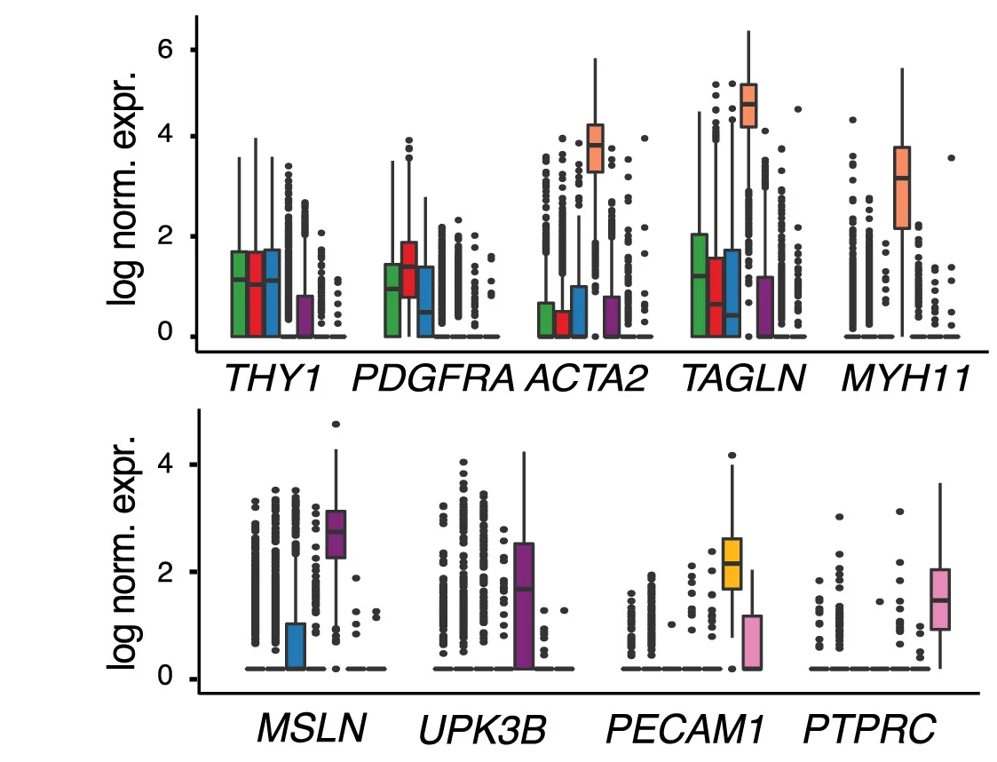 Open access visualization of Box Plot, Scatter Plot, Gene Expression, Log-normalized, Cell Subpopulations