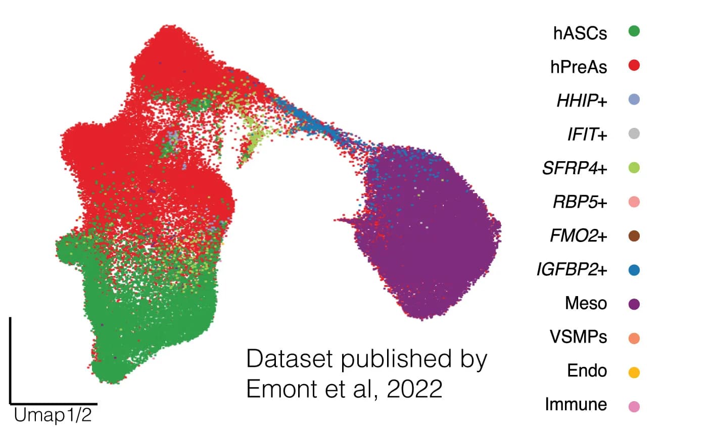 Open access visualization of Scatter Plot, UMAP, hASPCs, Human Mesothelial Cells, scRNA-seq