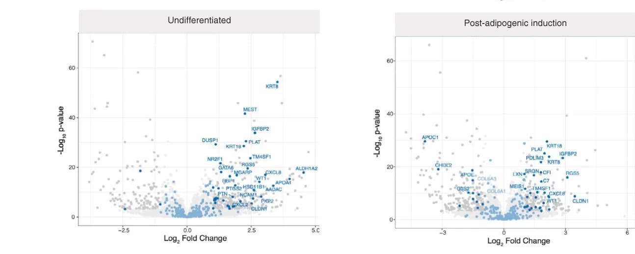 Open access visualization of Volcano Plot, Volcano Plots, Differential Gene Expression, Expanded SVF Adherent Cells, OM