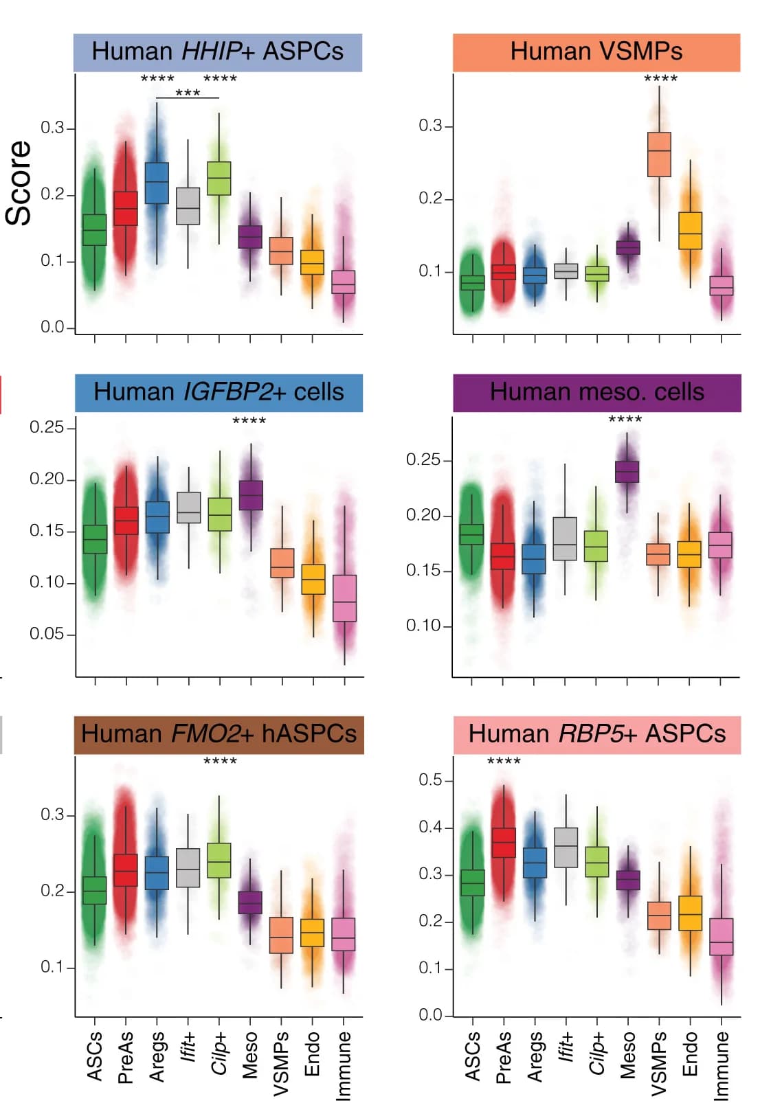Open access visualization of Violin Plot, Box Plot, Raincloud Plot, Boxplots, Human Cell Population